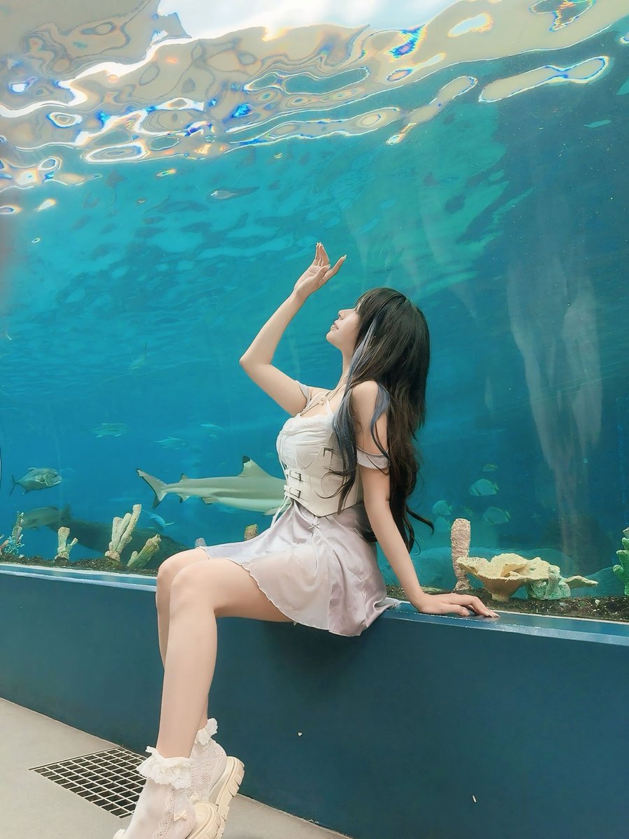 LiaBear5's tweet photo. Sea cucumbers looks sus 🥸 https://t.co/pp9Jp7LC1h