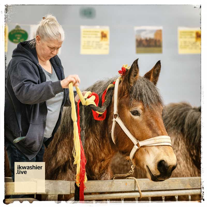 Les héros du Hainaut. Portretten fokkers Belgische trekpaarden op Facebook facebook.com/ikwashier.live Al 20 jaar bewaart 
ikwashier.live tradities en erfgoed #Belgischtrekpaard #belgiandrafthorse #horses #LivingHeritage #traditie #erfgoed #immaterieelerfgoed #Hainaut