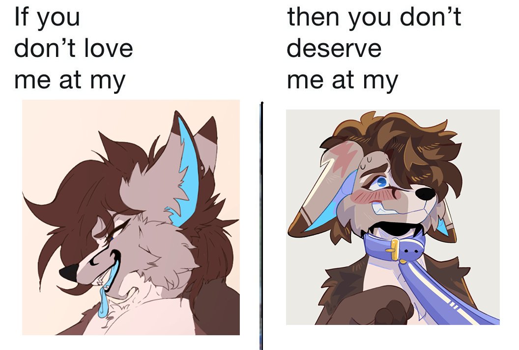 HornyFoxHours's tweet photo. https://t.co/Gc2i9EYtVJ