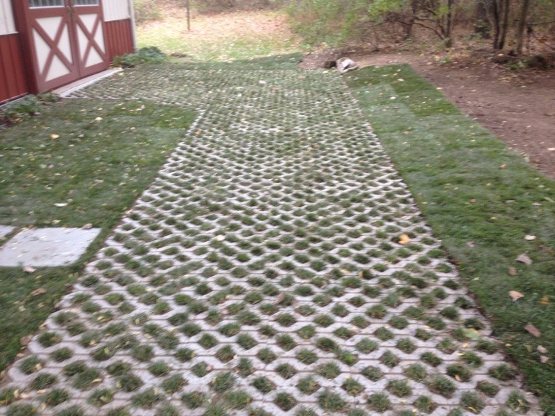 BroccoloLadyB tweet media