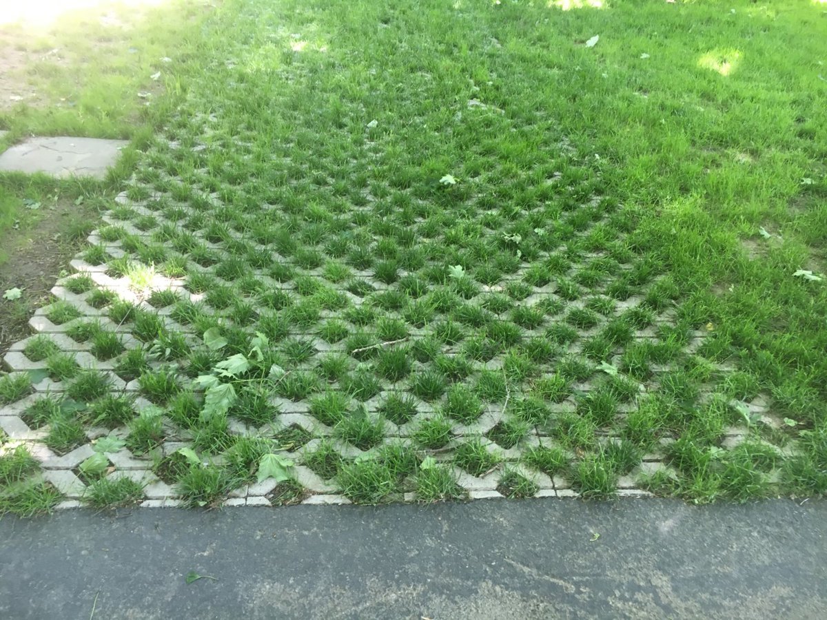 BroccoloLadyB tweet media