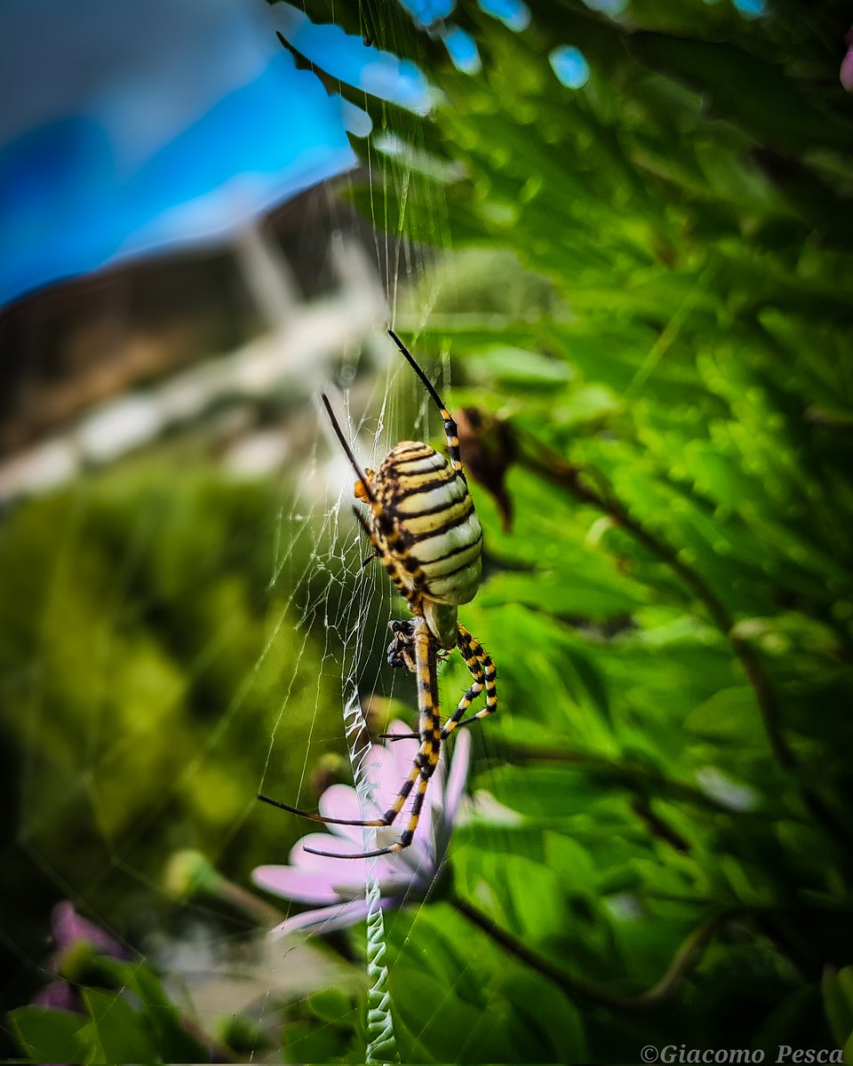 <a href="/Sam_Alexandra23/">Stephanie Alexandra</a> My macros!