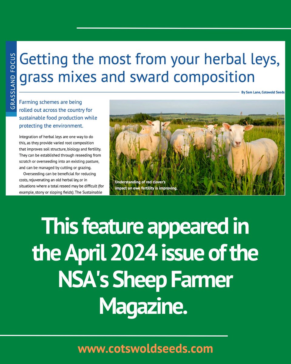 CotswoldSeeds's tweet photo. Did you catch the ‘Sheep Farmers Guide to SFI and Herbal Leys, Grass Mixes &amp; Sward Composition’ feature in the April 2024 @natsheep ‘Sheep Farmer’ magazine 👀?

Read the full feature - https://t.co/uzxgOBcOdP

#nationalsheepassociation #sheepfarming #sfi #herballey #sward https://t.co/woAMseBes6
