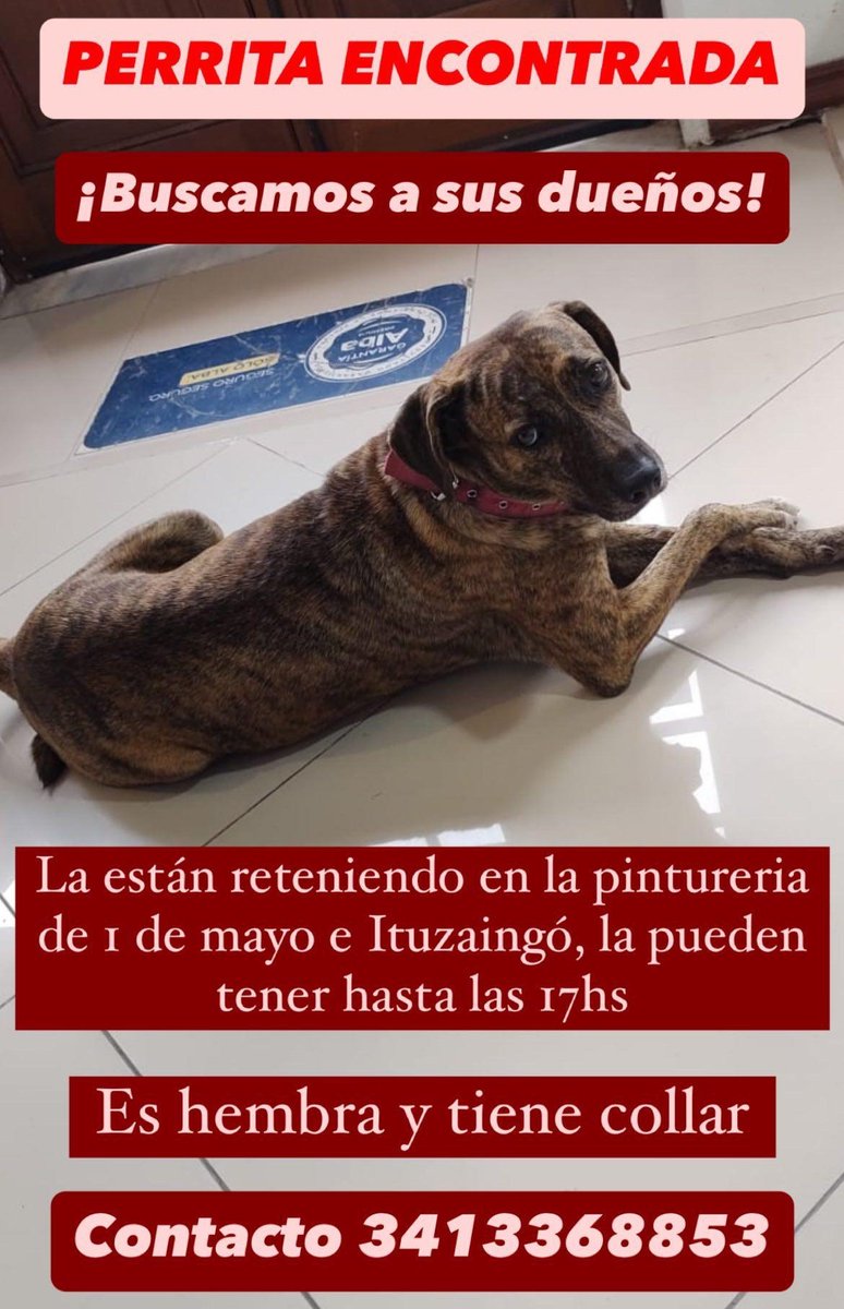 RosarioLaCiudad tweet media