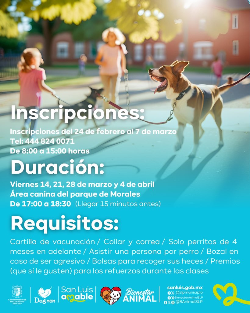 Bienestar Animal Municipal SLP tweet media