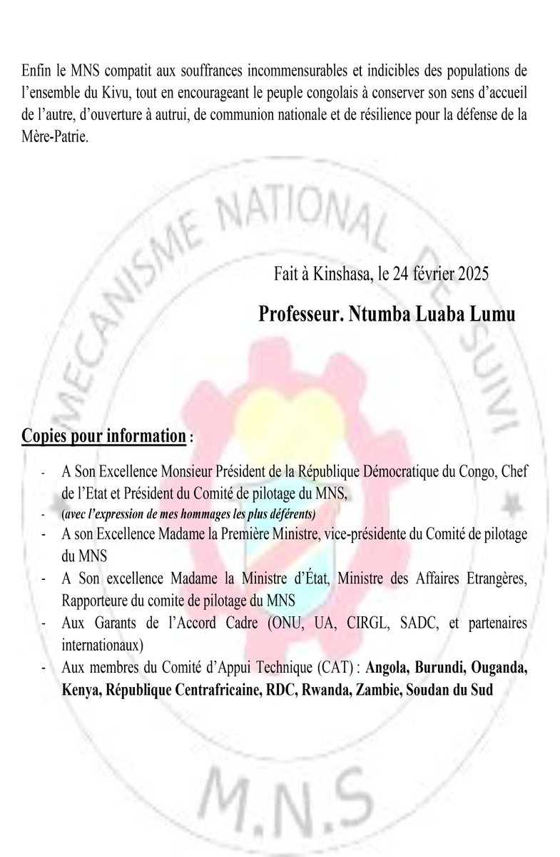 DECLARATION1 DU  MECANISME  NATIONAL  DE  SUIVI  POUR SON 12 ème ANNIVERASAIRE DE L'ACCORD-CADRE D'ADDIS-ABEBA POUR LA PAIX , LA SECURITE ET LA COOPERATION POUR LA RDC ET LA REGION