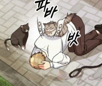 tyaeelol's tweet photo. @23seasons_ https://t.co/x3qLc6DJ3T