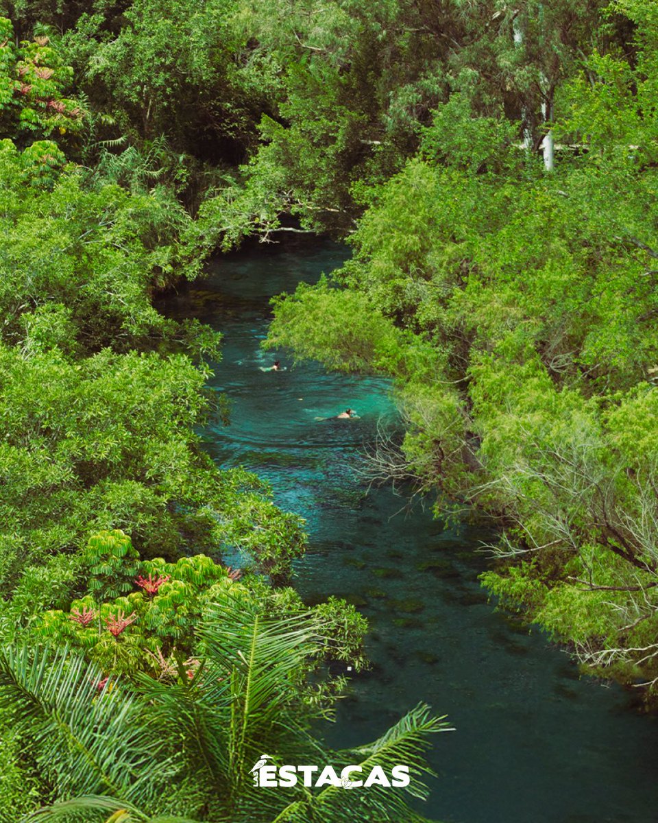 El río de Las Estacas es un lienzo de inspiración natural. 💧✨

Descubre más 👉 lasestacas.com

#LasEstacas #Naturaleza #Inspiración #ParqueNatural #VisitaMorelos
