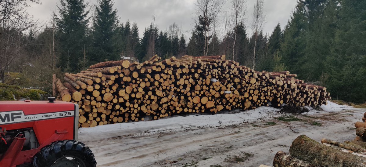 Pian koittaa metsänomistajan tilipäivä!
Viimeinen kuorma ulos ja heti soitto ostajalle. 
Mutta oli kyllä oikea aikakin, talvikeli loppuu kuin seinään Vaasanseudulla.
