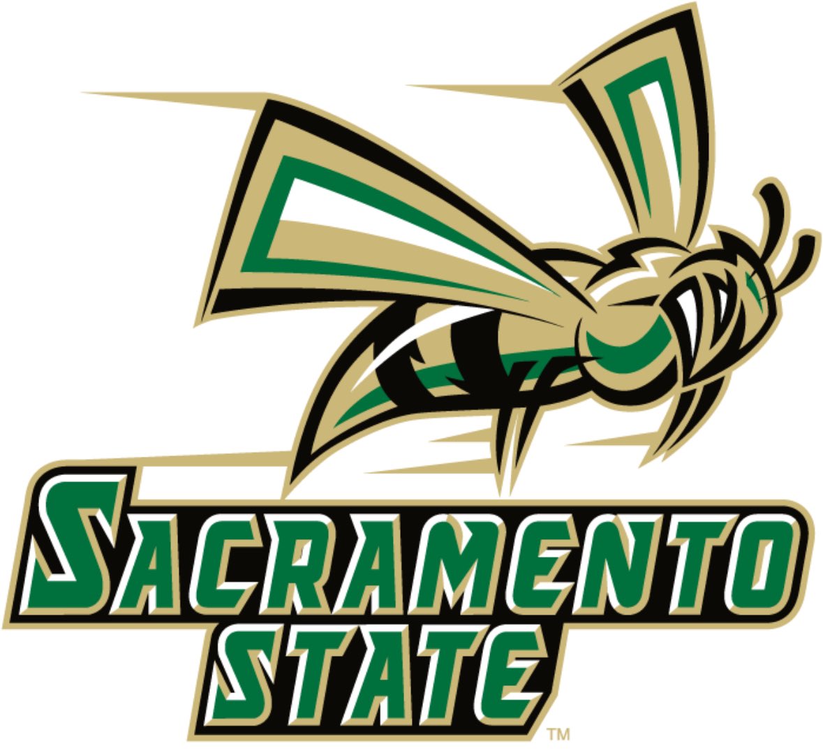 Cadillac Pina (@cadillacpina_15) on Twitter photo After a great Conversation with <a href="/CJPollard1/">C.J. Pollard</a> Honored to receive an offer from Sacramento State University. Thank you <a href="/CJPollard1/">C.J. Pollard</a> <a href="/Coach_Andy_1/">Travis Anderson</a> <a href="/_CoachMachado/">Michael Machado</a> <a href="/CoachTroop3/">elite_Threatz</a> After a great Conversation with <a href="/CJPollard1/">C.J. Pollard</a> Honored to receive an offer from Sacramento State University. Thank you <a href="/CJPollard1/">C.J. Pollard</a> <a href="/Coach_Andy_1/">Travis Anderson</a> <a href="/_CoachMachado/">Michael Machado</a> <a href="/CoachTroop3/">elite_Threatz</a>
