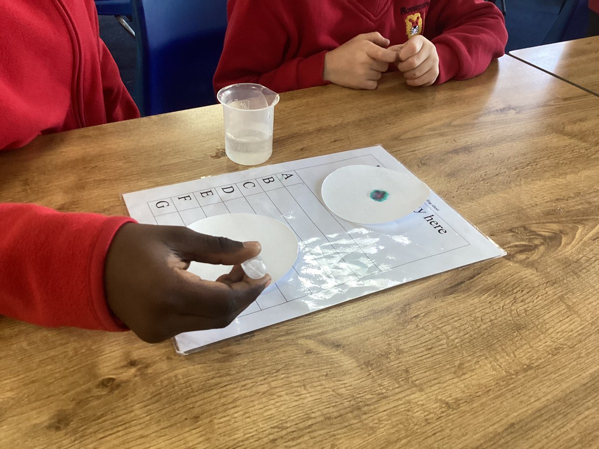 Rossmore School tweet media