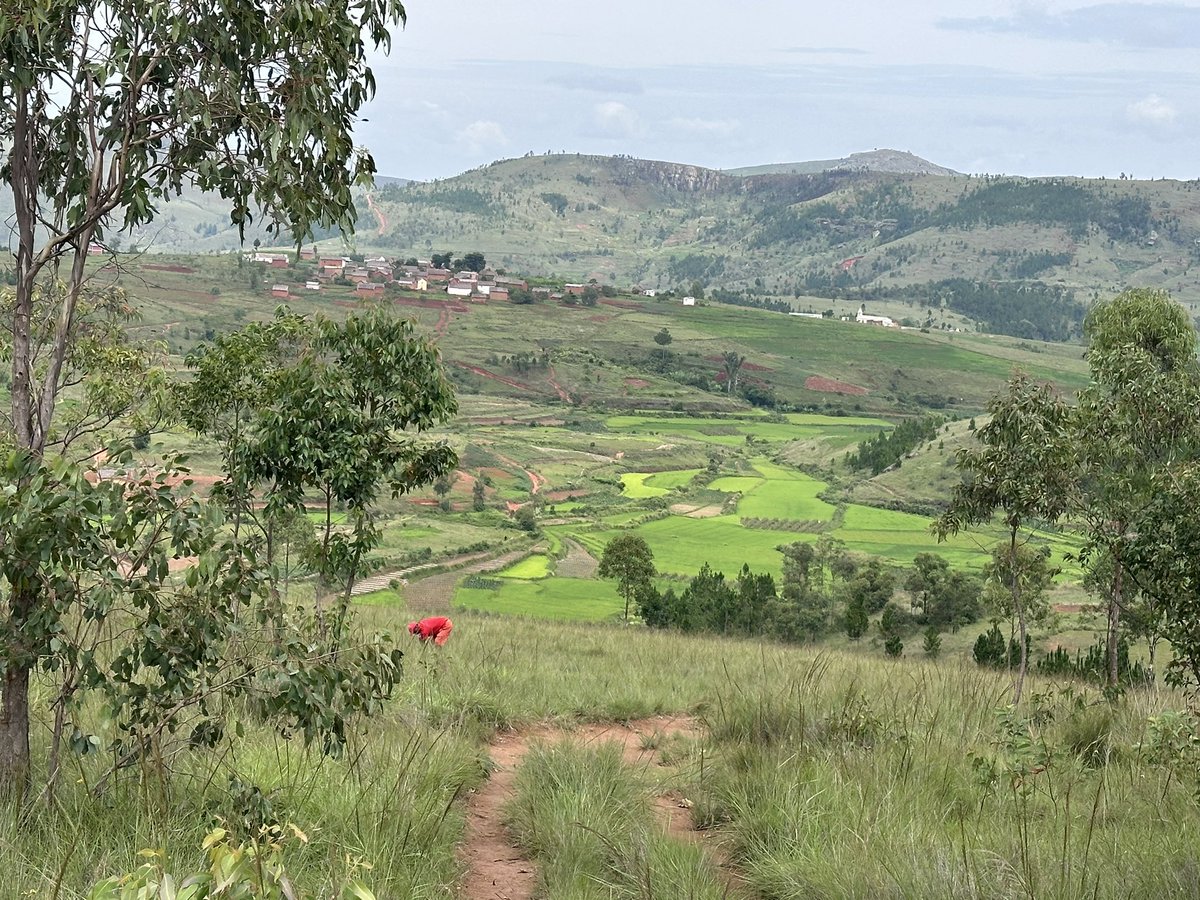 Serge Bounda (@serge_bounda) on Twitter photo Très heureux d’être à 🇲🇬 et d’apprécier la beauté et les merveilleux paysages de la Grande Île entre les séances de travail sur site avec le MAE et le MEDD dans le cadre de la Journée Africaine de l’Environnement/Wangari MAATHAI <a href="/rafaravavitafi1/">Rasata Rafaravavitafika PhD</a> <a href="/FontaineMax9/">Max Andonirina Fontaine 🇲🇬</a> <a href="/MatondoRosalie1/">Matondo Rosalie</a> Très heureux d’être à 🇲🇬 et d’apprécier la beauté et les merveilleux paysages de la Grande Île entre les séances de travail sur site avec le MAE et le MEDD dans le cadre de la Journée Africaine de l’Environnement/Wangari MAATHAI <a href="/rafaravavitafi1/">Rasata Rafaravavitafika PhD</a> <a href="/FontaineMax9/">Max Andonirina Fontaine 🇲🇬</a> <a href="/MatondoRosalie1/">Matondo Rosalie</a>