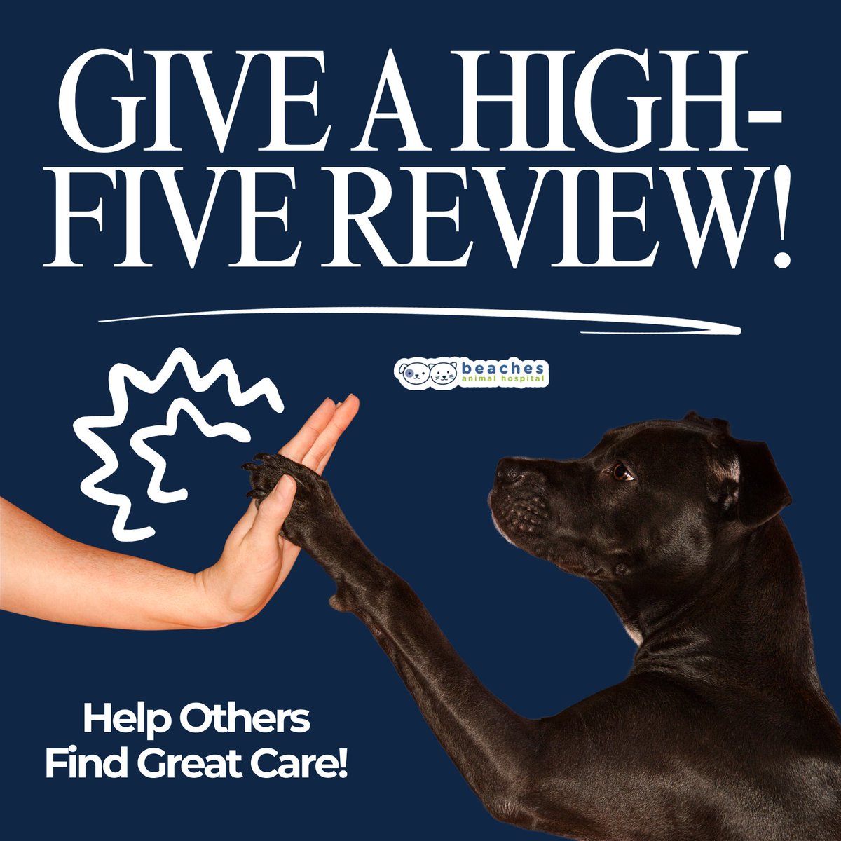 🐾 Team up with us to help other pet parents! Every high-five and review guides someone to great care. Share your story today!

Review us: g.page/r/CVOrUhbno3J2…

#love #instagood #cute #pet #petstagram #photooftheday #instamood #adorable #instapet