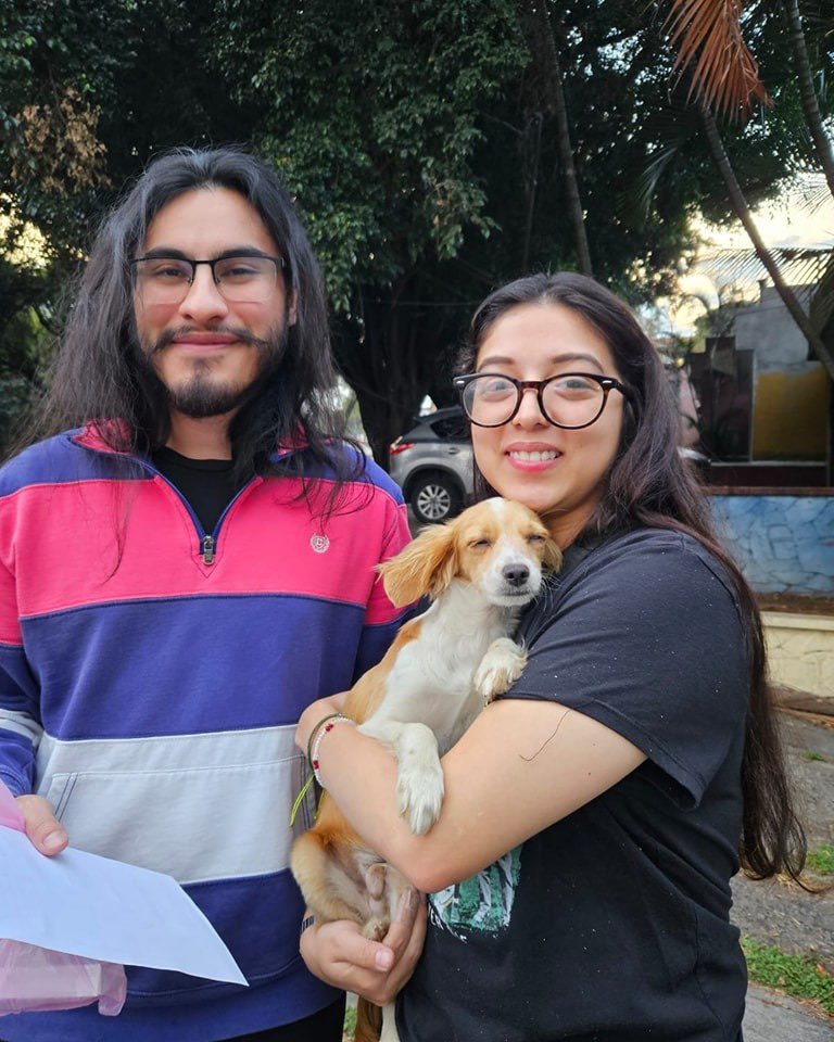 Animals Hope tweet media
