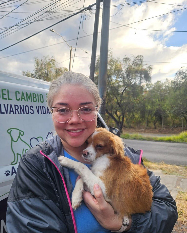 Animals Hope tweet media