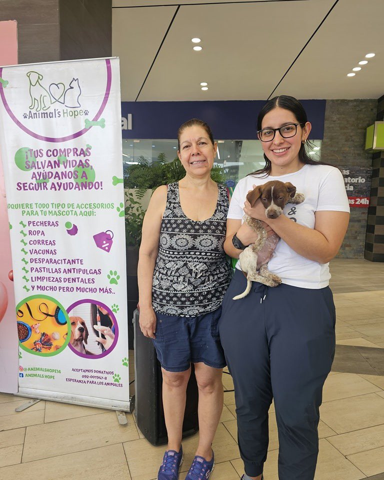 Animals Hope tweet media