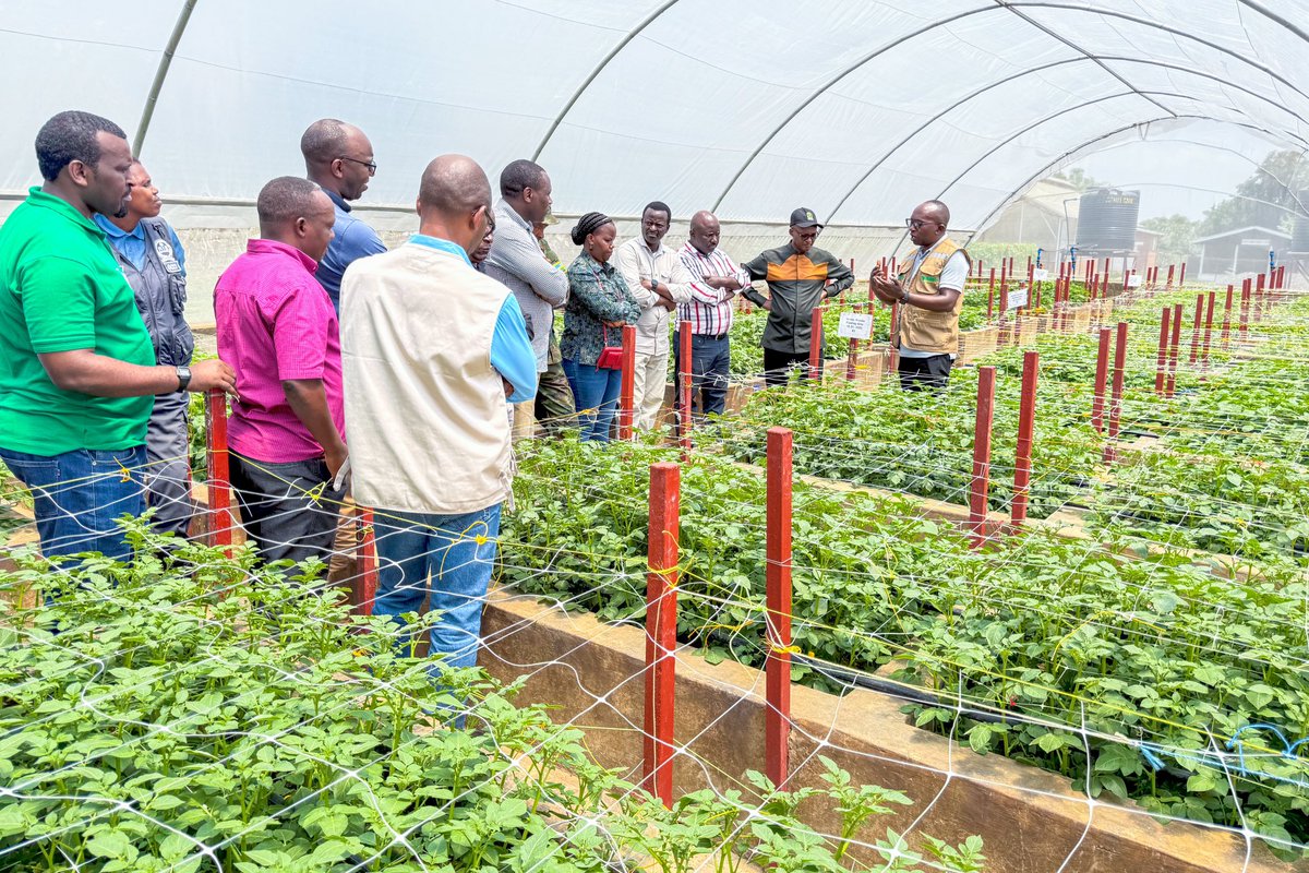 Ministry of Agriculture & Animal Resources |Rwanda tweet media