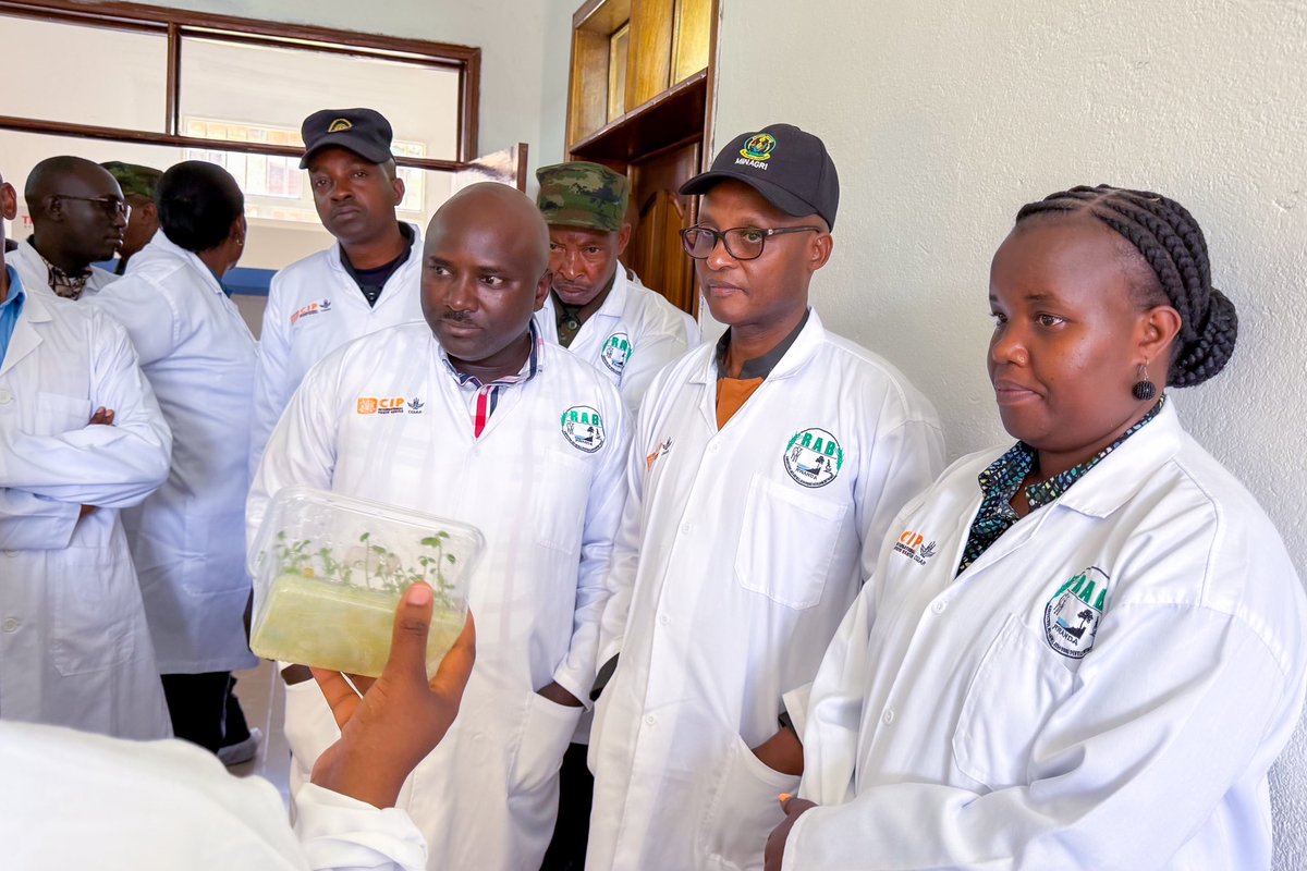 Ministry of Agriculture & Animal Resources |Rwanda tweet media