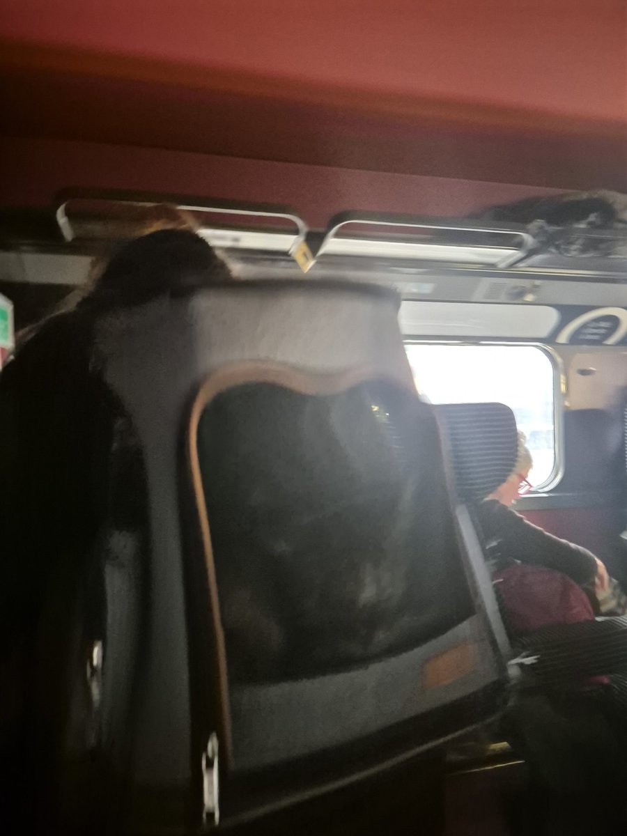 Allergie sévère aux poils de chats et de chiens + asthme.
Je voyage avec <a href="/TGVINOUI/">TGV INOUI</a> et <a href="/SNCFVoyageurs/">SNCF Voyageurs</a> et une fois encore je le souligne, pensez à créer un système pour tous ! 
Dans mon wagon, il y a 2 chiens et 2 chats ! 
Je vais devoir changer de place en espérant trouver.