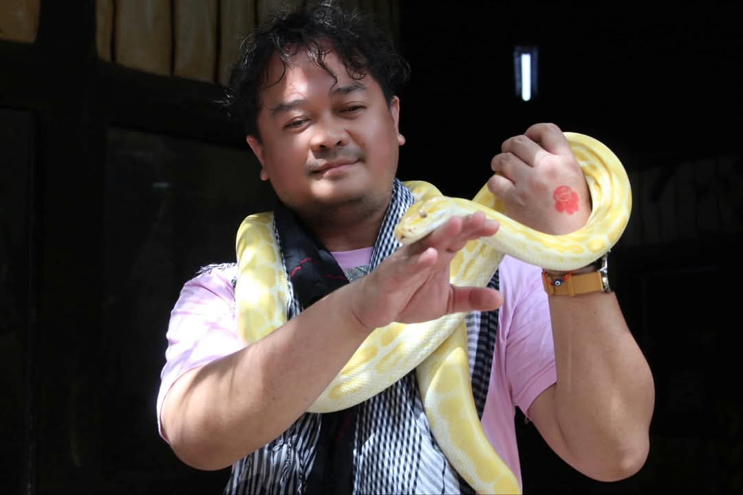 mykesworld527's tweet image. One way to properly handle "snake people/friends": Let them wrap around you, but always be ready to shake them off. 😅🤣😂 #AlbinoBurmesePython #AlbinoBallPython #Phyton #Snake #SnakeChallenge
