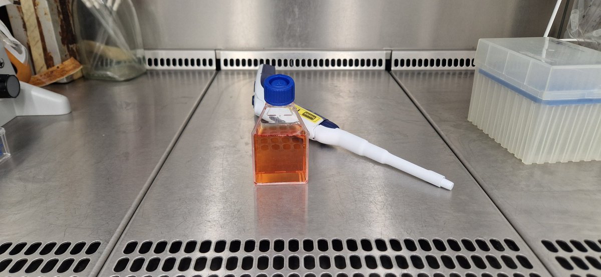 Kidney cells are so needy. Gotta make all their food, clean all their waste away and keep them in new homes weekly. Not to mention they like it warm. 
Until tomorrow friends 🫠