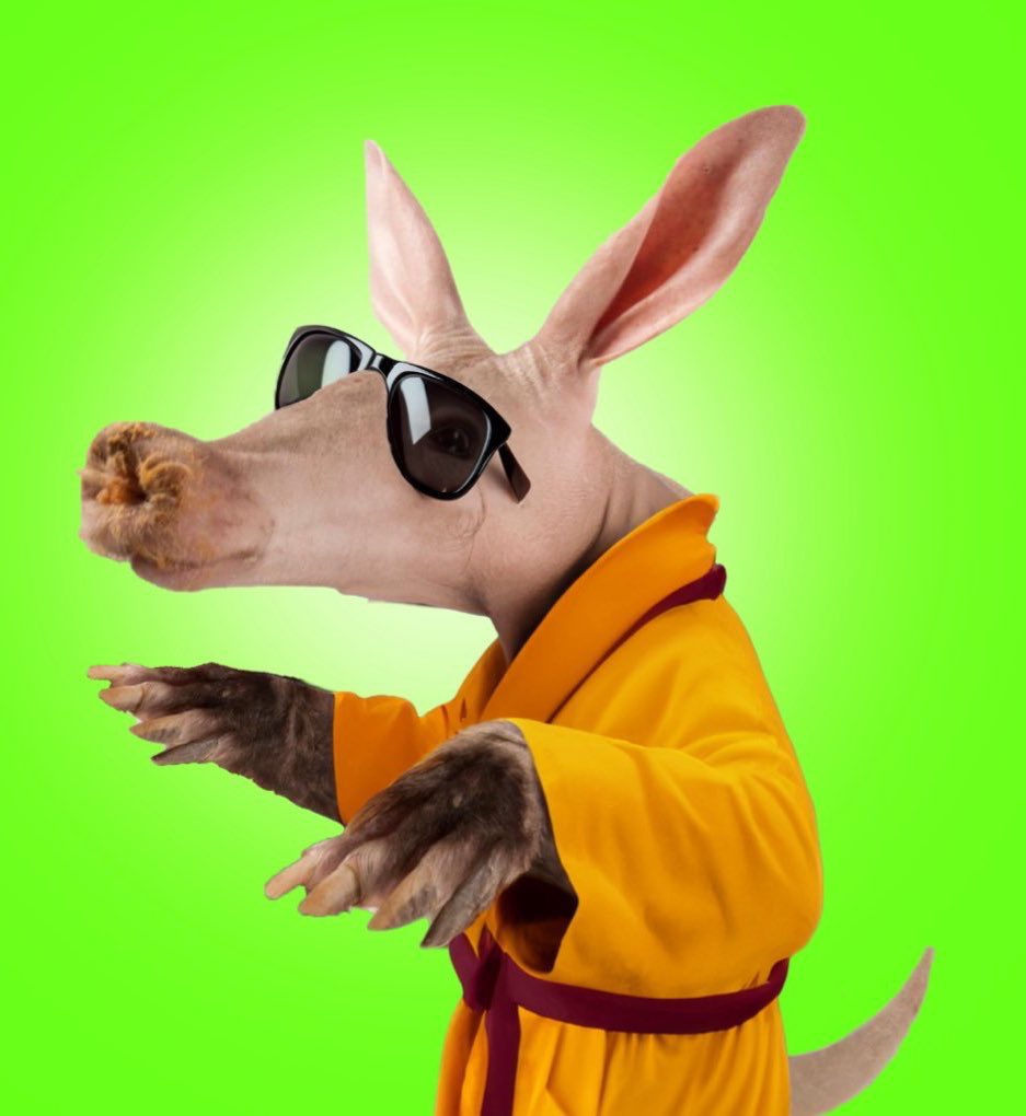 VGS55760664's tweet photo. @AardvarkCoin @HimothyChaIamet $VARK ready to eat all the ants !!!!!! 
Dancing as always ! https://t.co/SzwDwwl6Tn