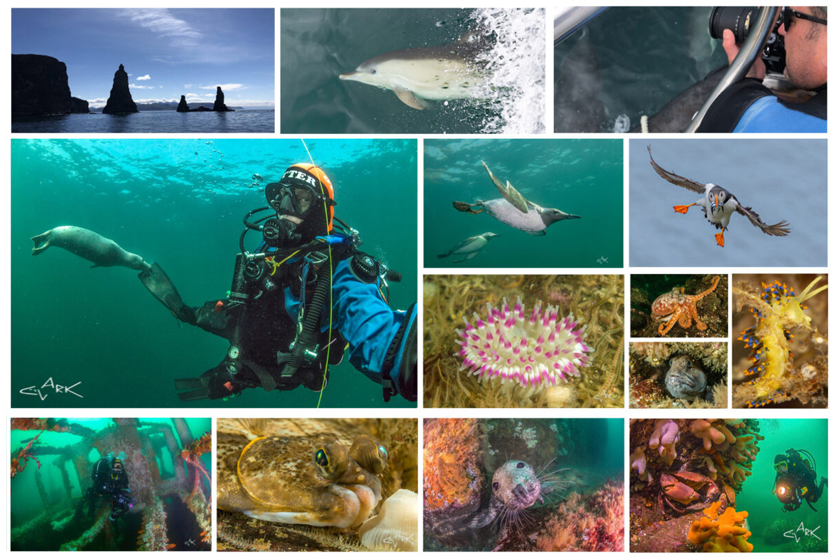 DiveSkye's tweet photo. SKYETIME 2025 – PHOTOGRAPHY MENTORING with MIKE CLARK#2
‘Take the ordinary and make it extraordinary!’ https://t.co/EjFxaTCZsI https://t.co/DLir4GBQLT