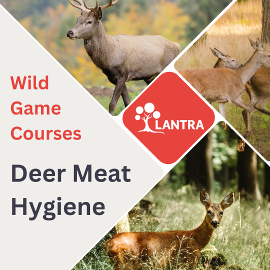 Are you a hunter looking to safely handle and process deer meat?  If so, Lantra’s courses on deer meat hygiene could be for you.
This course will teach you about legislation, health guidelines for public safety, and meat hygiene – to find out more visit lantra.co.uk