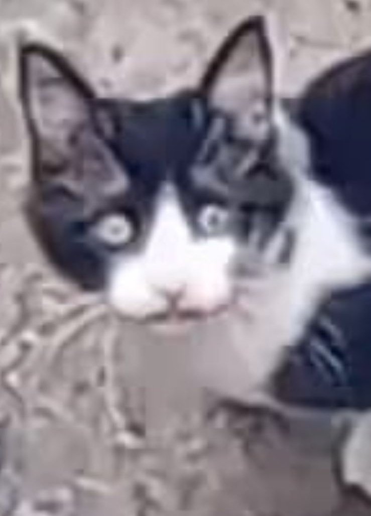 "3 turrones mil pesos, aproveche esta oferta porque MAÑANA TODO PUEDE CAMBIAR" dijo un vendedor del tren y yo quedé tipo