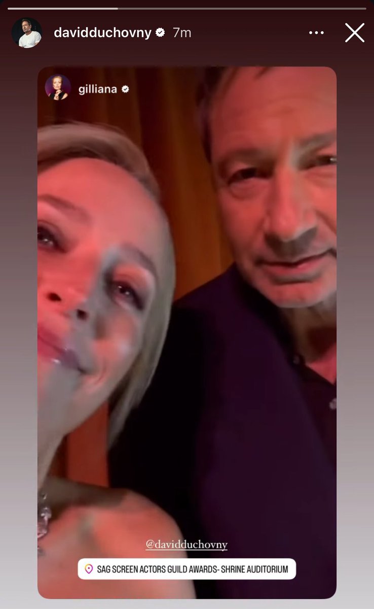 daily gillovny 🥑🍫 tweet media