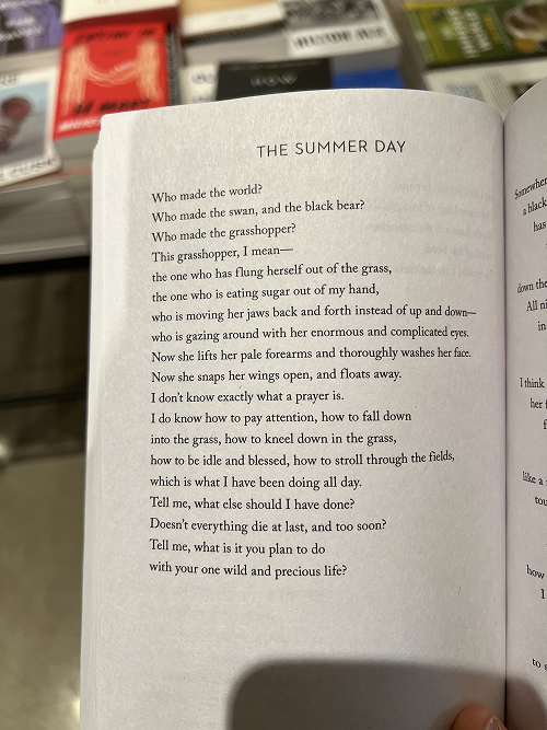 Packy McCormick tweet media