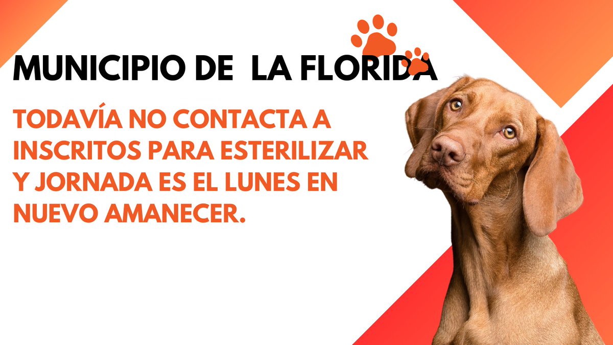 Las vacantes para esterilización todavía no se completan, pero la municipalidad no ha contactado a todos los inscritos en Nuevo Amanecer. ¿ Es así como se dilapidan los recursos públicos? <a href="/MuniLaFlorida/">Municipalidad de La Florida 🍀</a> <a href="/danielreyesmor/">Daniel Reyes Morales</a> <a href="/EPA_Chile/">EPA Chile</a> <a href="/RewildingChile/">Fundación Rewilding Chile</a>
