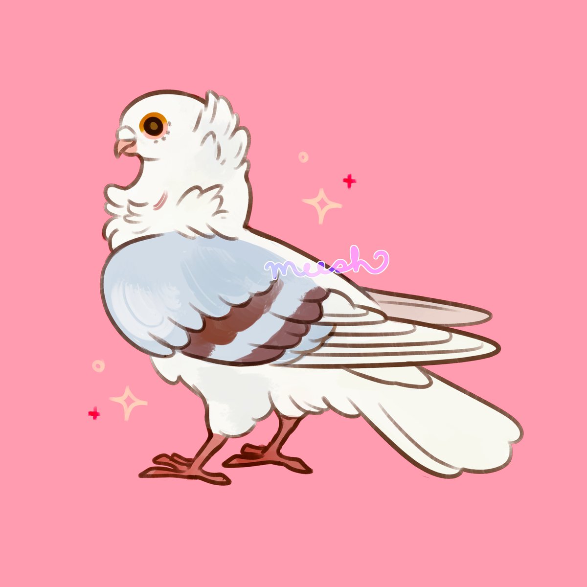 m e e s h 🕊 tweet media