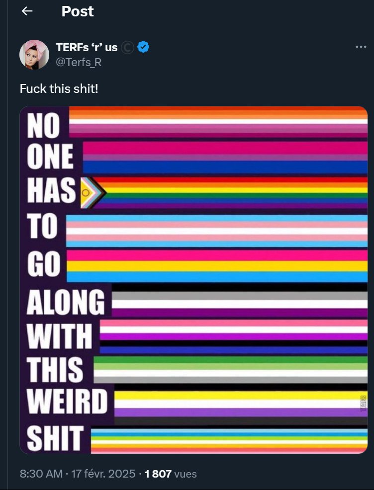 I like how the first flag is lesbians.
Terfs are not even remotely subtle about being homophobic as well.