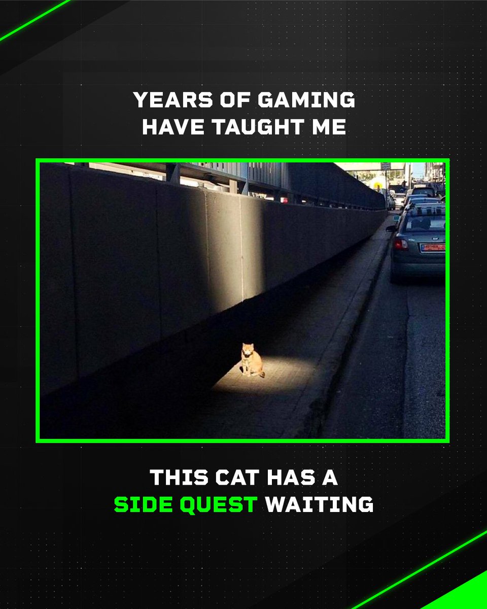 tulparnotebook's tweet image. 🐱💬 „Hey, du! Ich hab da &apos;ne kleine Side Quest für dich…“ 🎮✨

Gaming auf höchstem Level – mit unserem Power-Notebook meisterst du jede Herausforderung, ob Main Story oder Side Quest! 💻🔥

#Tulpar #TulparGaming #TulparNotebook #GamingNotebook #SideQuestVibes #LevelUp