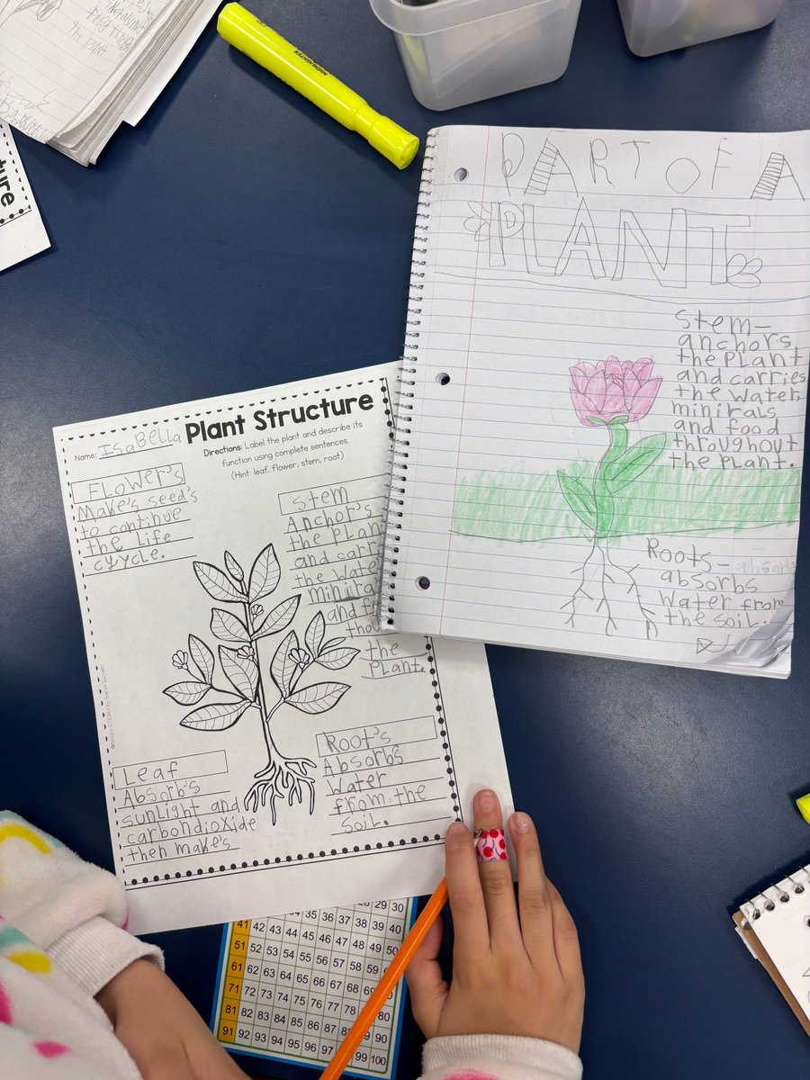 Our second-grade students dove into the world of plants! After reading all about them, they showcased their comprehension by writing interesting facts and labeling detailed diagrams.#growinggreatness #togetherwecultivate #todayincomal <a href="/Comalisd/">Comal</a>