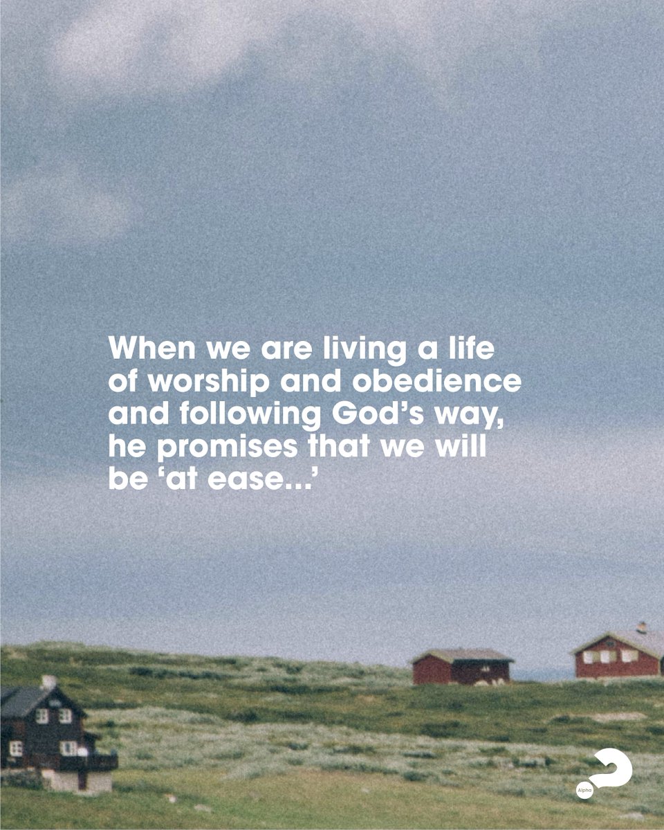 Alpha USA tweet media