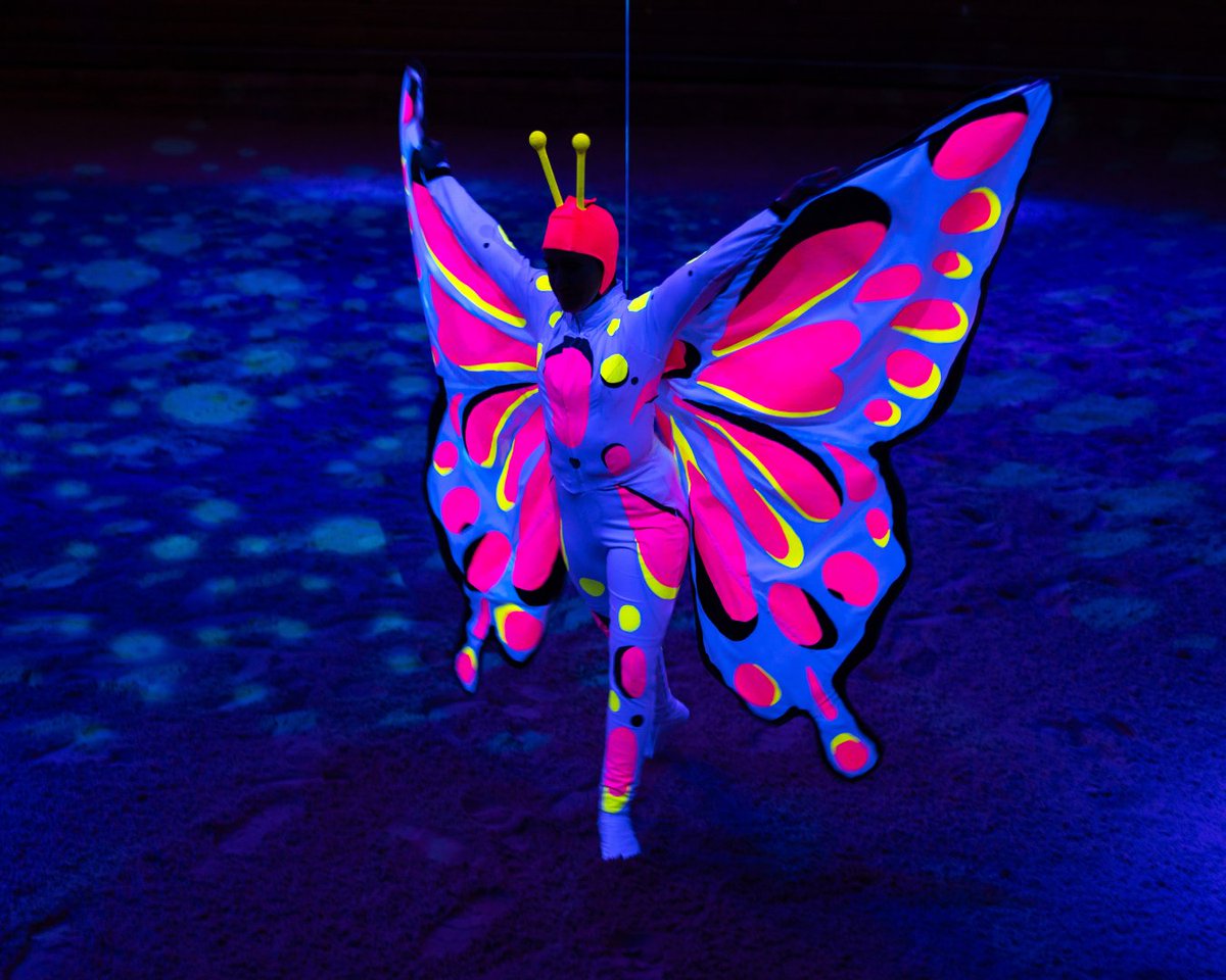 DollysStampede's tweet photo. Soaring through the night in a vibrant glow! The winged butterfly takes flight in Butterfly Dreams. A dreamlike experience you can't miss!
#ButterflyDreams #DollysStampede #DollyStampede #DollyPartonsStampede #DollyParton #Stampede #DinnerShow #DinnerAttraction https://t.co/4SzQhiK39i