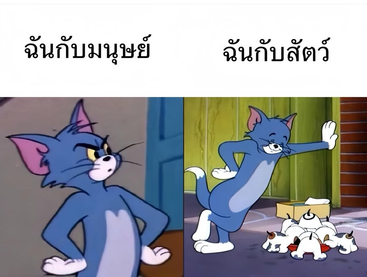 psmark1821's tweet image. โอเค รู้เรื่อง555555555