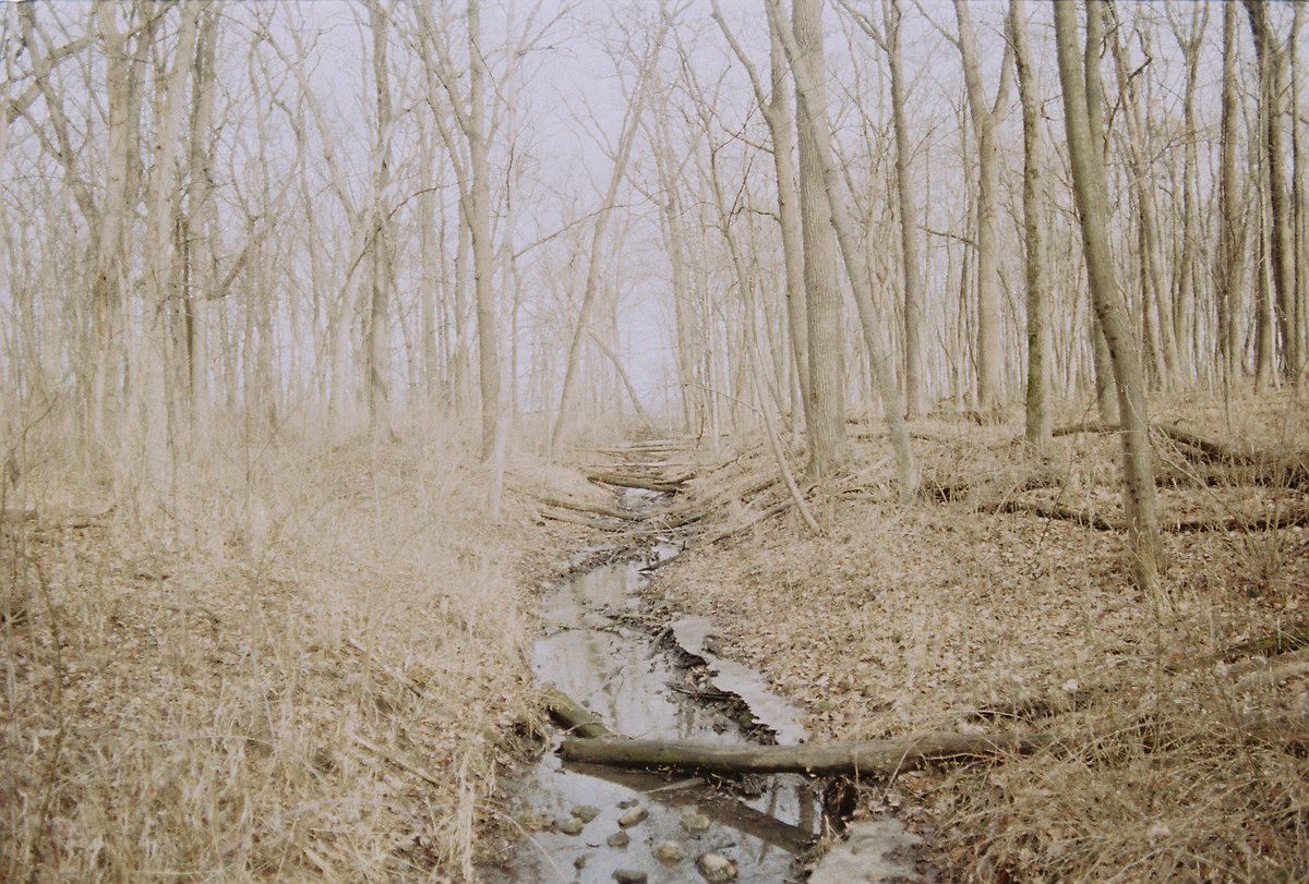ThatChicagoFox's tweet photo. A lil bit of film photography https://t.co/Sp6O6ZLvAT