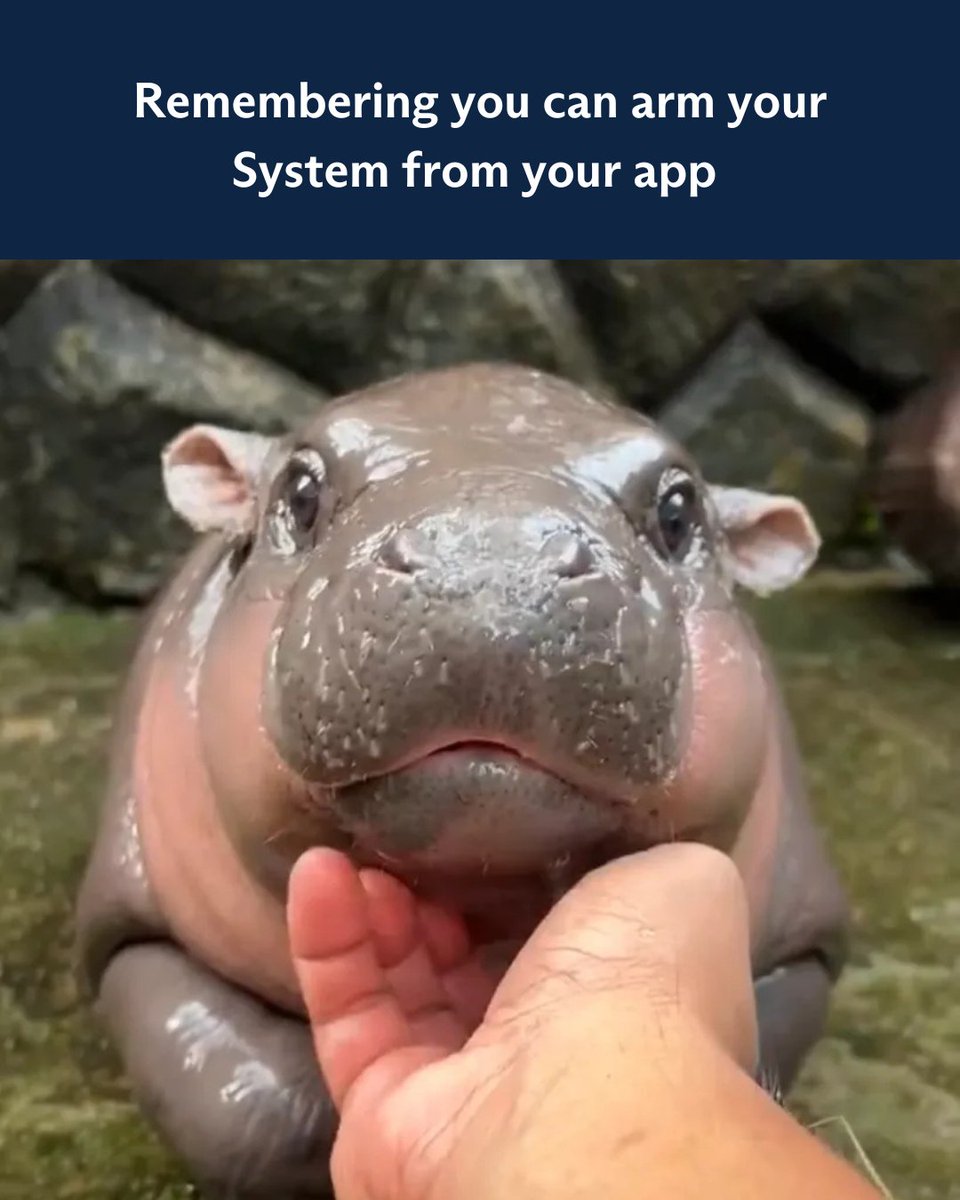 We have all been there. The app coming in to save the day📱