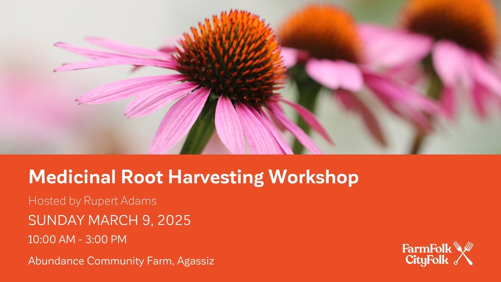 Medicinal plants, hands-on learning and community connections await! 🌱

Join us at Abundance Community Farm for a Medicinal Root Digging Workshop on March 9th (10 am - 3 pm).

Don’t forget to dress for the weather and bring your lunch!

Sign up today: farmfolkcityfolk.ca/event/medicina…
