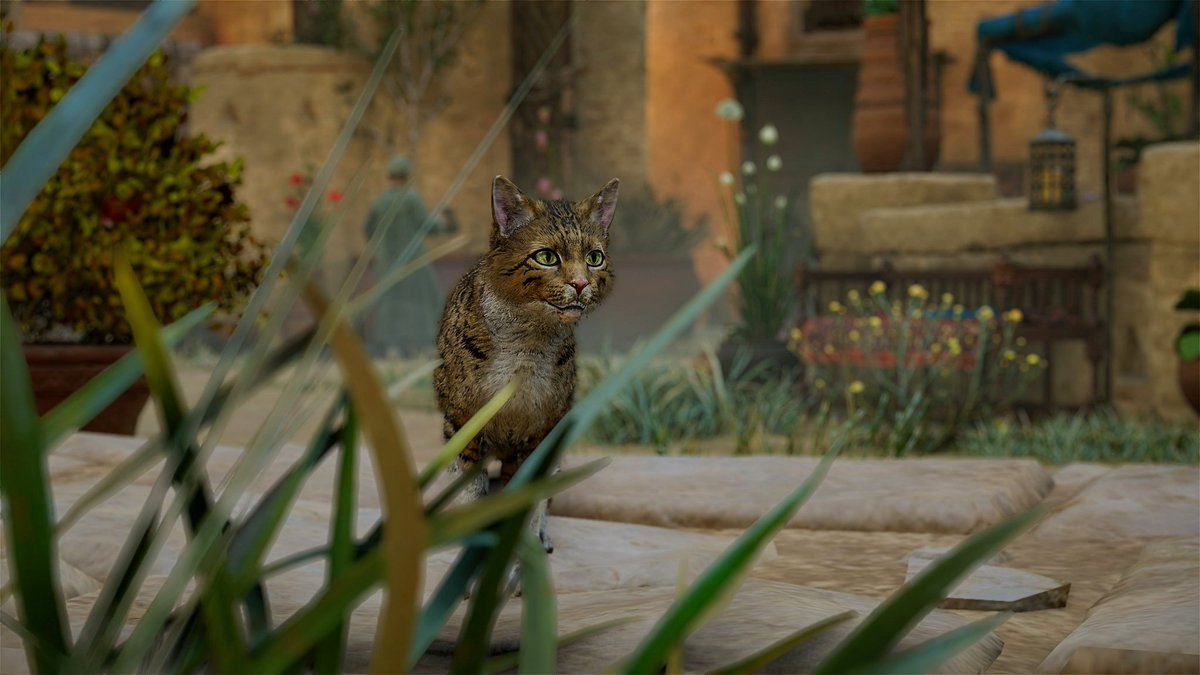 JoshDefalt368's tweet image. Assassin's Creed Mirage
#AnimalMonday
#MirageMonday
#AssassinsCreedMirage #VirtualPhotography #ACFinest #ACPhotomode #ACFirstCivVP #ACVP #VPCONTEXT