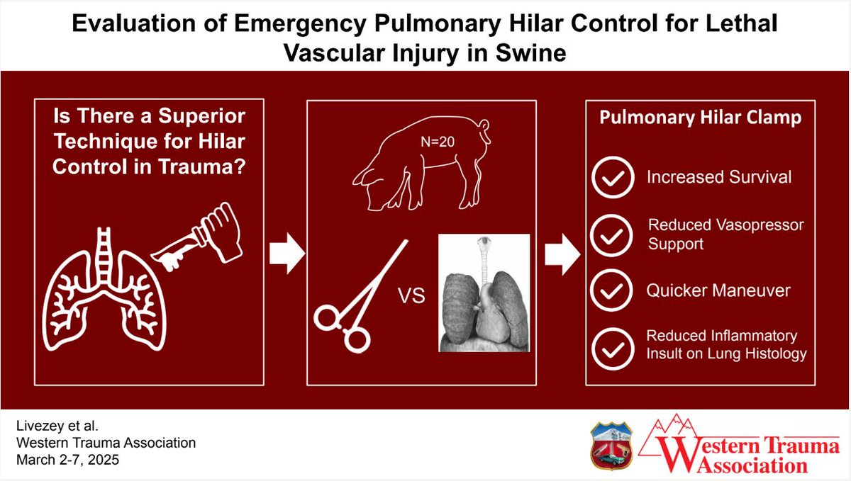 In a stunning twist of fate…

Hilar clamping is quicker and more effective than the infamous hilar twist

Evaluation of emergency pulmonary hilar control for lethal traumatic injury in a swine model

#WTA2025 #Fellowshipofthesnow Abstract #2, Jonathan B Livezey MD