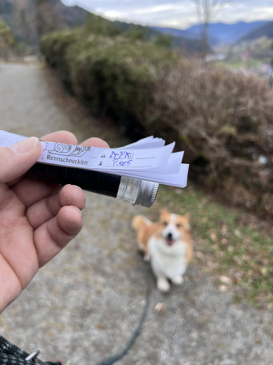 Fire5's tweet photo. En we hebben 2025 ‘afgetrapt’… #geocaching https://t.co/3jr6PaB5XK