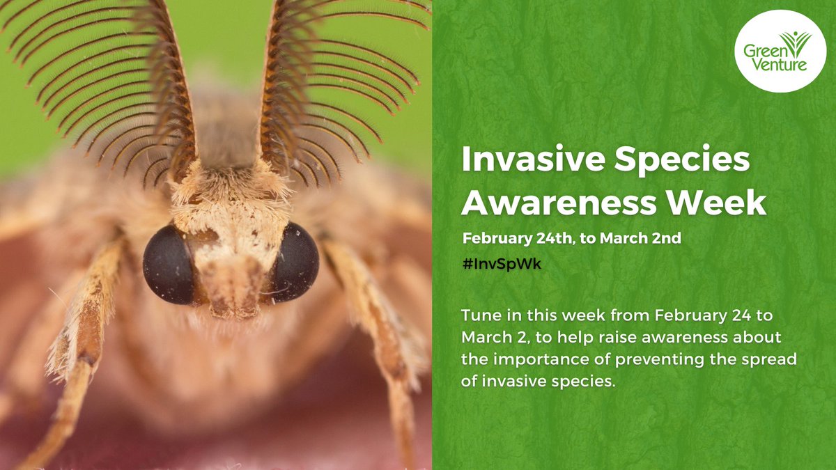 Welcome to Invasive Species Awareness Week! #InvSpWk
Join us to help raise awareness about the importance of preventing the spread of invasive species. We can’t wait to talk more and discuss what you can do to help! So, keep an eye out for our posts this week.