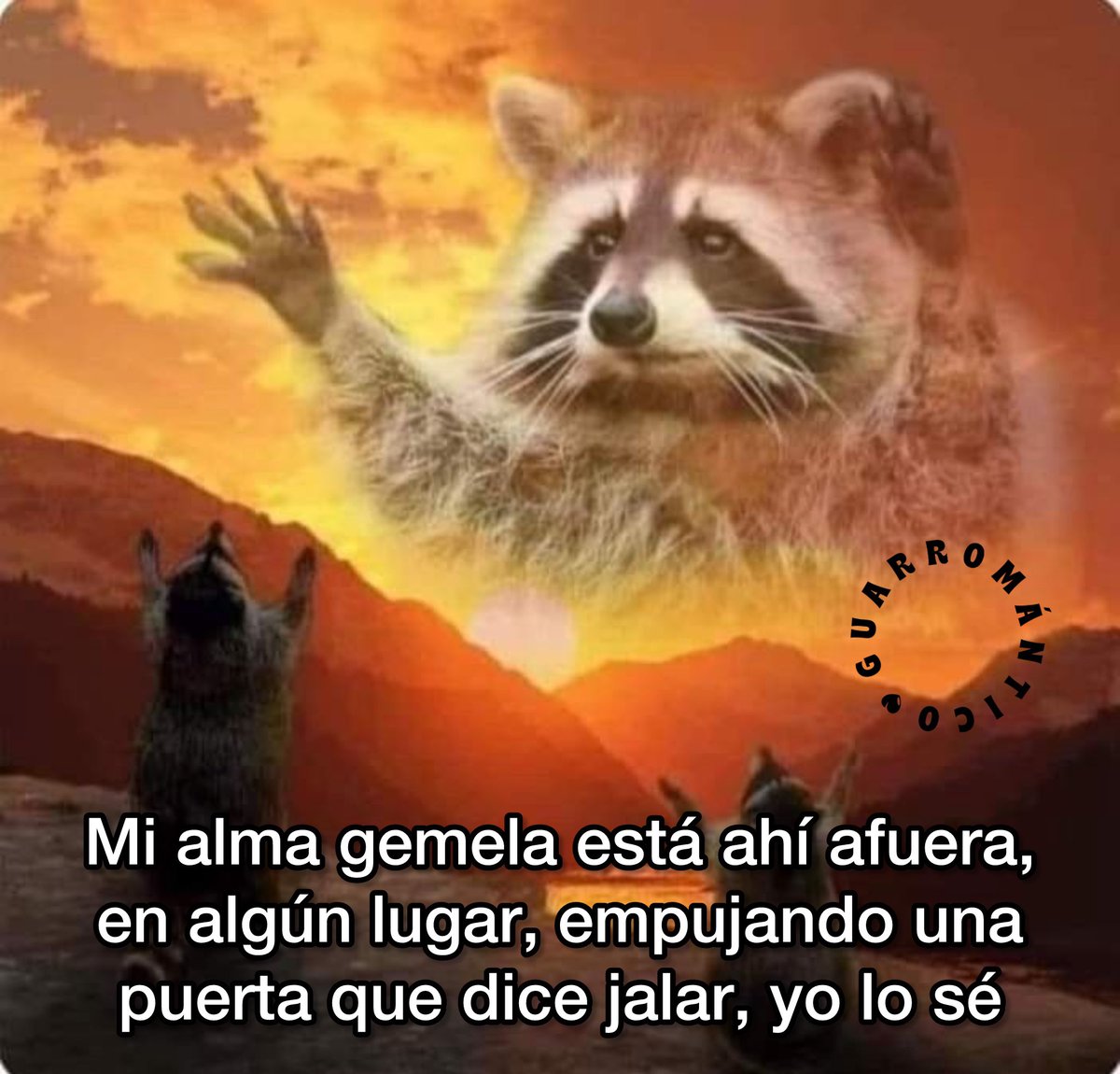 Guarromantico_'s tweet photo. Yo lo sé. https://t.co/2SrQDk16wU
