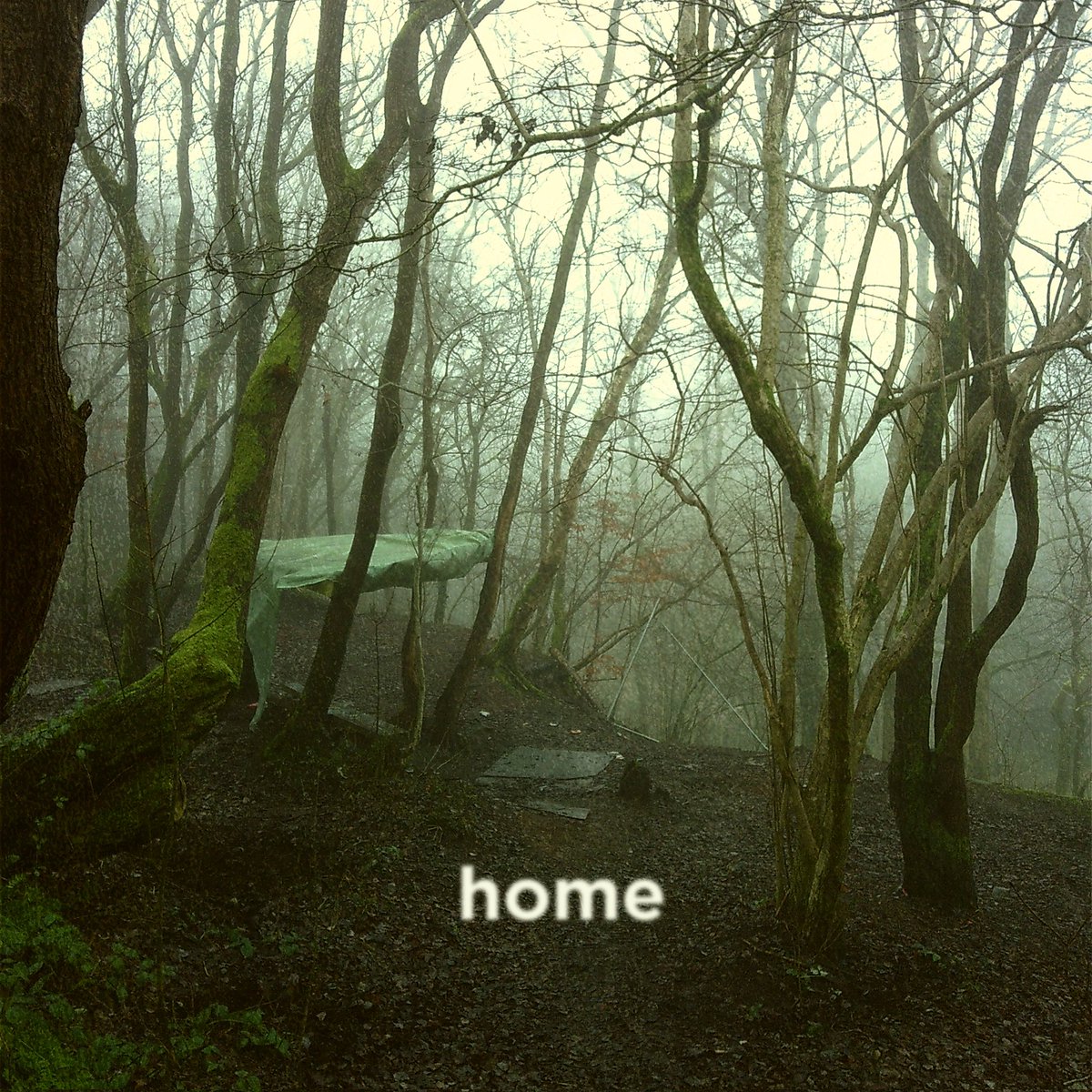 New single 'Home' out THIS Friday ❤️‍🔥

Pre save: distrokid.com/hyperfollow/m6…