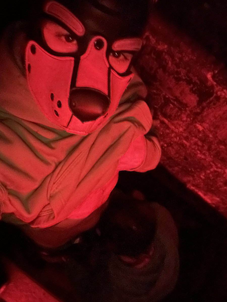 Axel π Animalz (@pinkpuppyaxel) on Twitter photo Brought the gospel of pup play to the people of Paris by going out partying!!
And of course I had to drag <a href="/InmateJackson/">Inmate Jackson</a> into the dark rooms while we were there ;)
.
.
.
#pupplay #puppyplay #pup #gaypup #gay #kink #gaykink #publicsex Brought the gospel of pup play to the people of Paris by going out partying!!
And of course I had to drag <a href="/InmateJackson/">Inmate Jackson</a> into the dark rooms while we were there ;)
.
.
.
#pupplay #puppyplay #pup #gaypup #gay #kink #gaykink #publicsex