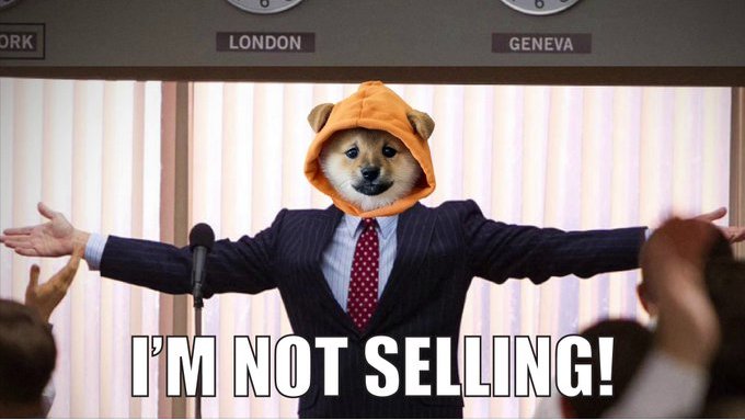 🚨SOL Gems Alert🚨 tweet media